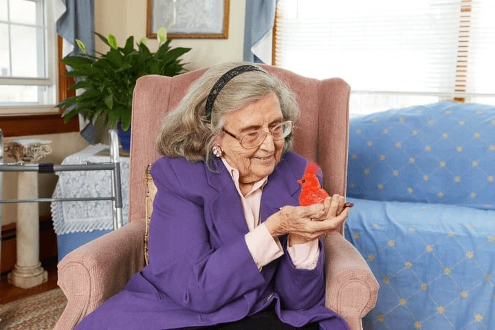 Rita with the red Cardinal robotic bird
