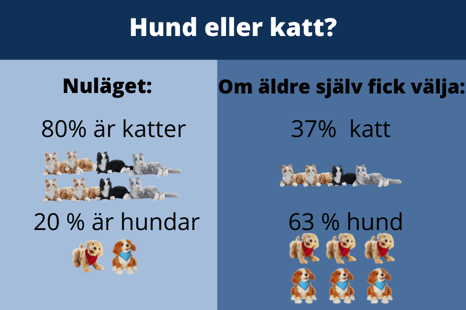 Diagrammet visar att hundar är mer poppis än katter