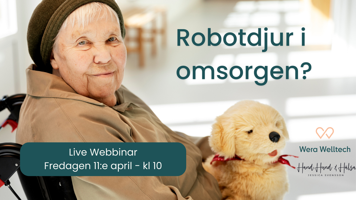 Kvinna med robothund