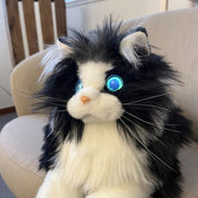 Metakatt - Svart/Hvit