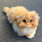 Metakatt - Perser