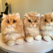 Metakatt - Perser