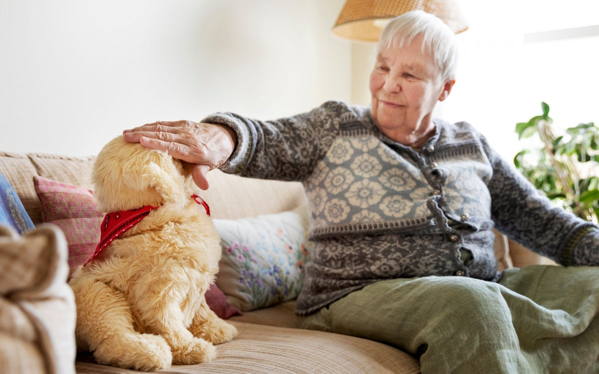 A woman smiles as she holds Findus, the black-and-white robotic cat
