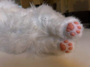 Metakatt - Ragdoll