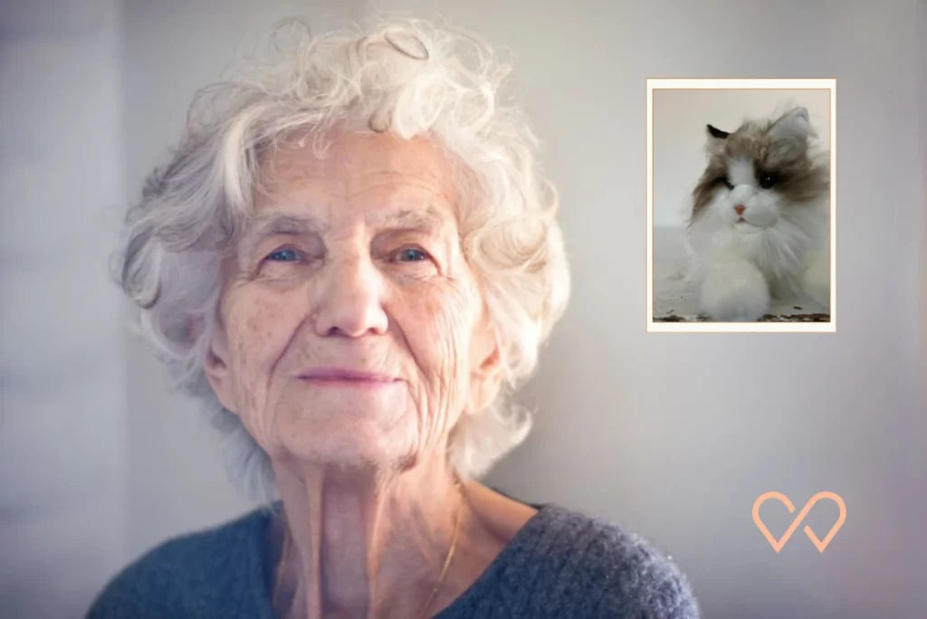 The MetaCat Ragdoll robotic cat, the same model featured in Ingrid’s story