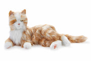 Digital terapikatt - Orange - "Kiiro"