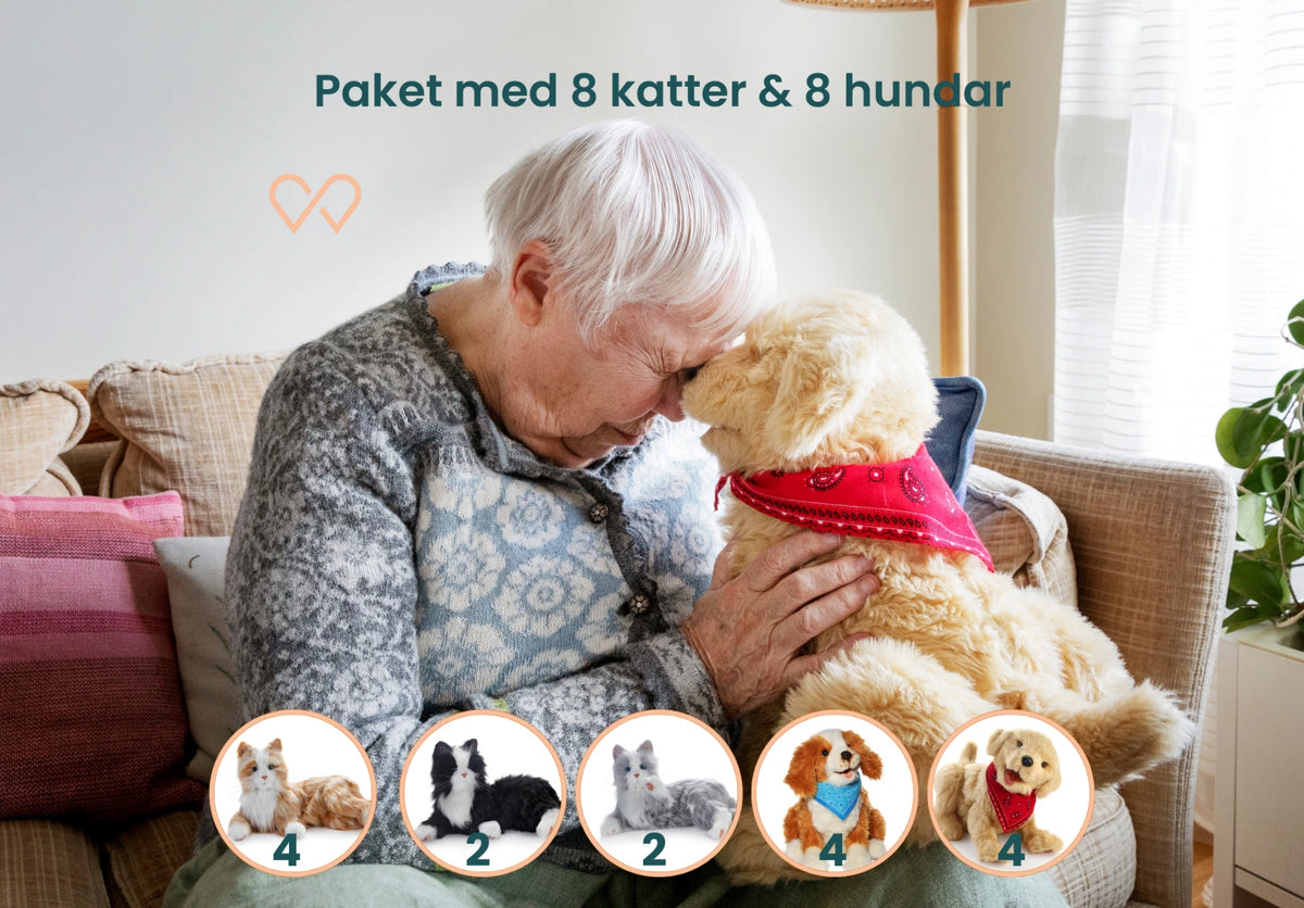 Suuri paketti – kissat ja koirat