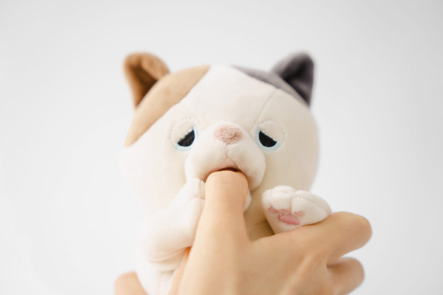 Amagami Ham Ham - Yuzu/Katt