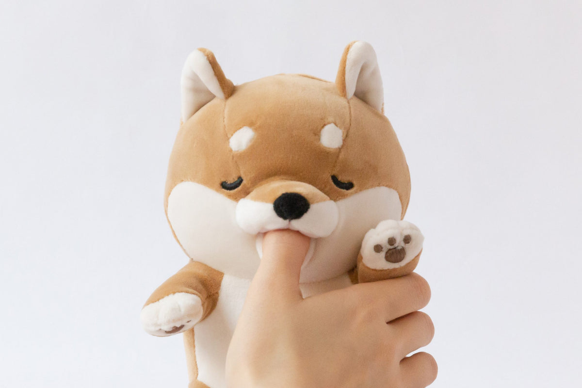 Amagami Ham Ham - Kotaro/Hund
