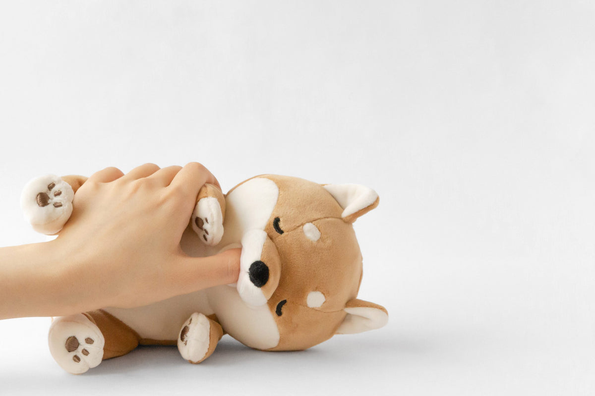 Amagami Ham Ham - Kotaro/Hund