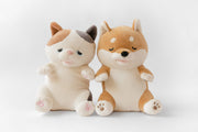 Amagami Ham Ham - Kotaro/Hund