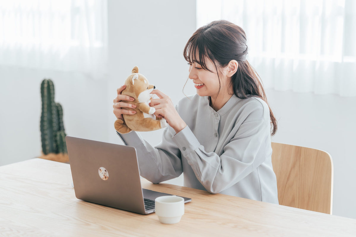 En person provar Amagami Ham Ham-hunden vid sitt skrivbord