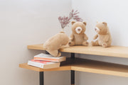 Amagami Ham Ham – Marron/karhu
