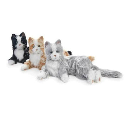 Paket med 2 katter, en hund och en fågel