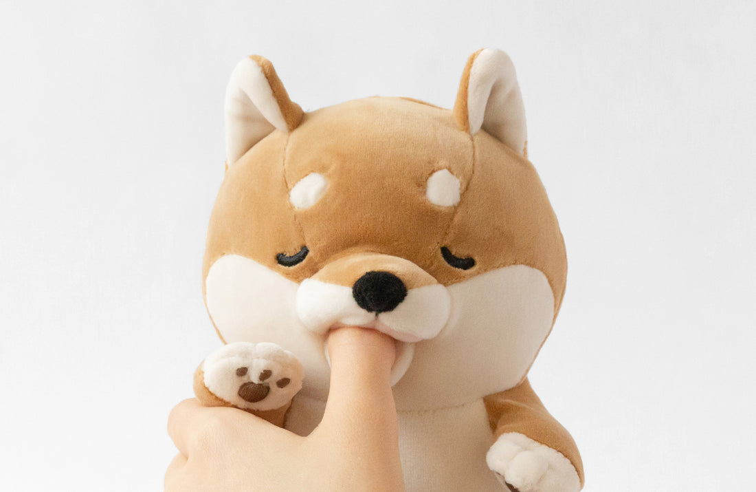 Amagami Ham Ham - Kotaro/Hund
