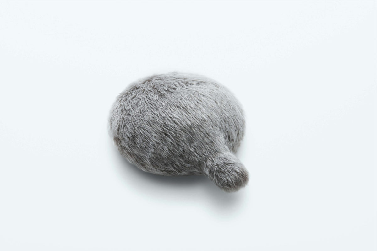 Petit Qoobo - Gray