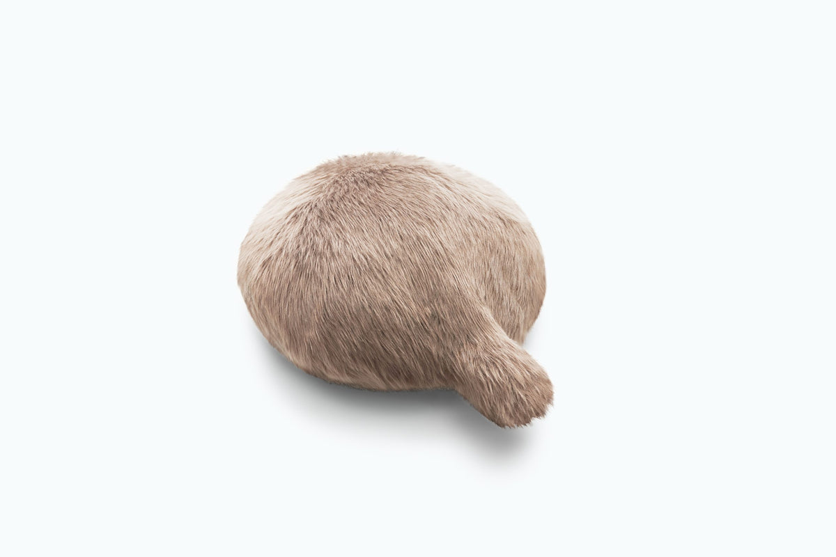 Petit Qoobo - Brun