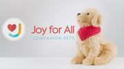Demofilm: robothund från Joy For All