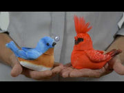 Walker Squawker – Röd Kardinal – produktfilm