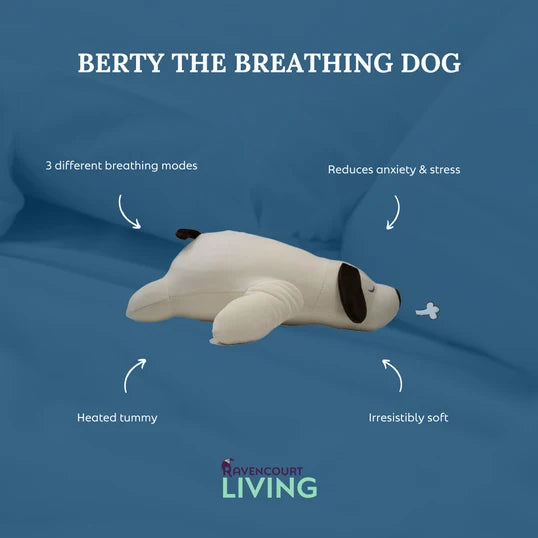 Berty – en mjuk hund med andningsrörelser och värme