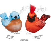 Walker Squawker – punainen kardinaali