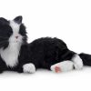 Stora paketet - Katter och hundar - Bild 5